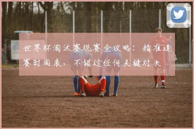 世界杯淘汰赛观赛全攻略：精准追赛时间表，不错过任何关键对决