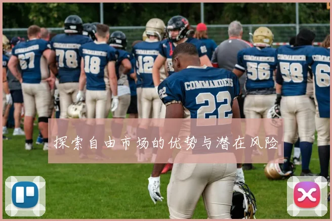探索自由市场的优势与潜在风险